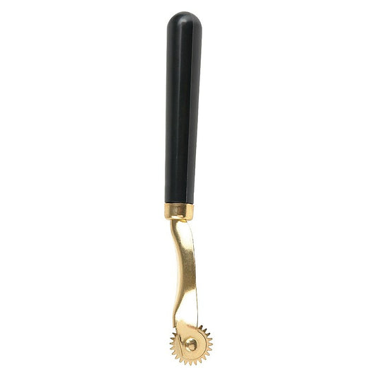 Sensory Play Wartenberg Wheel by Pipedream Products