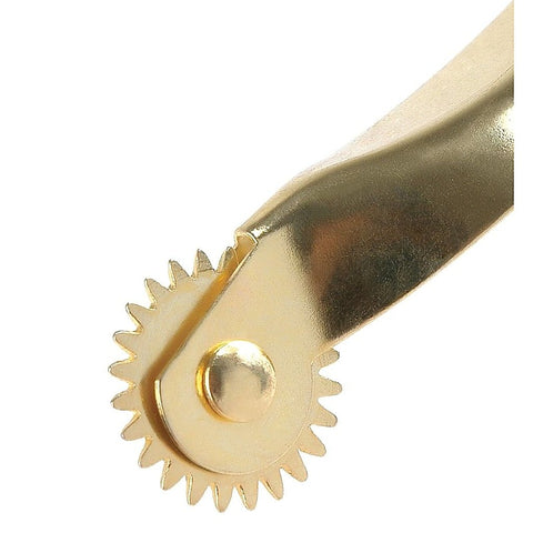 Sensory Play Wartenberg Wheel by Pipedream Products