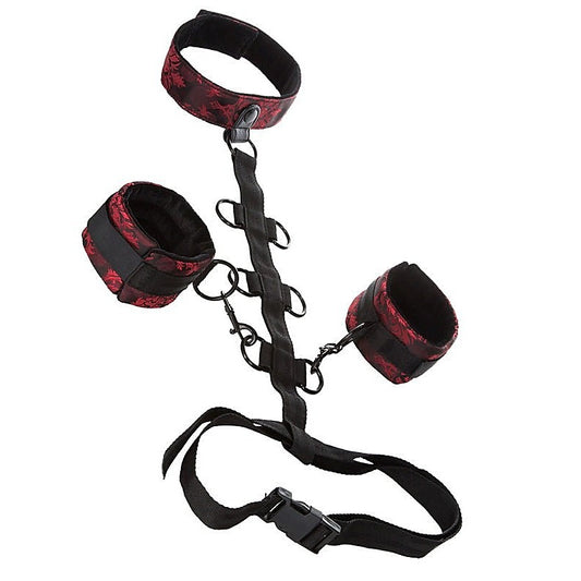 Scandal Collar Body Restraint by California Exotics
