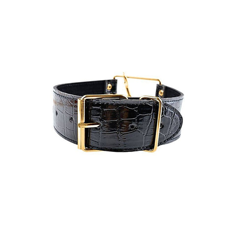 Fetish Fantasy Gold Bondage Collar and Leash Set