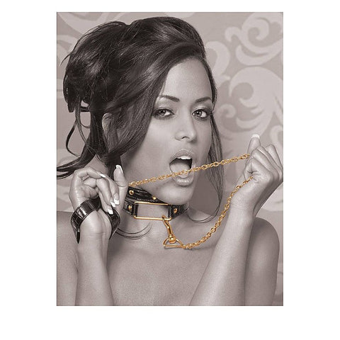 Fetish Fantasy Gold Bondage Collar and Leash Set