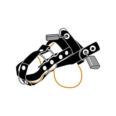Deluxe Total Chastity Cock & Ball Device
