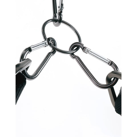 Sir Richards Command BDSM Cuff and Collar Set