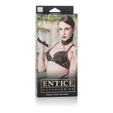 Entice BDSM Play Posture Collar with Leash
