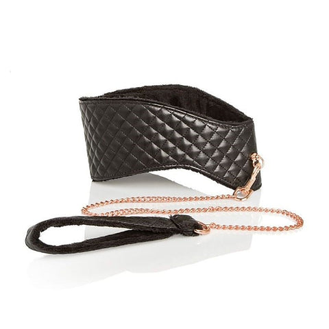 Entice BDSM Play Posture Collar with Leash