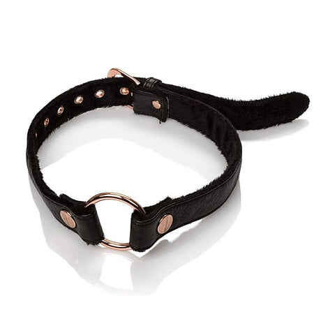 Entice Open Mouth Gag by California Exotics