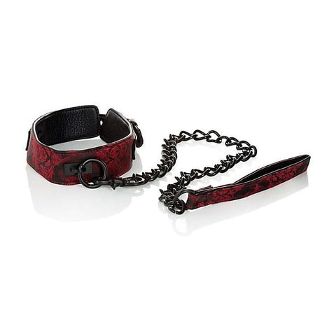 Scandal Collar with Leash by California Exotics