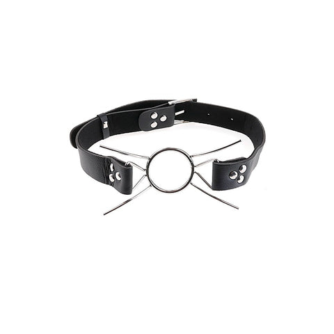 Fetish Fantasy Extreme Bondage Play Spider Gag