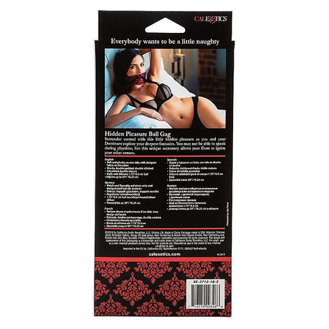 Scandal Hidden Pleasure Ball Gag by California Exotics