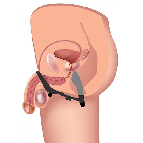 Epic Triple Stim Anal Plug Cock Ring by XR Brands