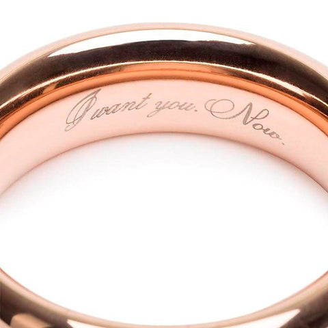 Fifty Shades Freed I Want You Now Steel Cock Ring