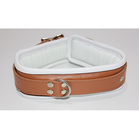 Dungeon Delights Asylum Collar Padded by BDStyle