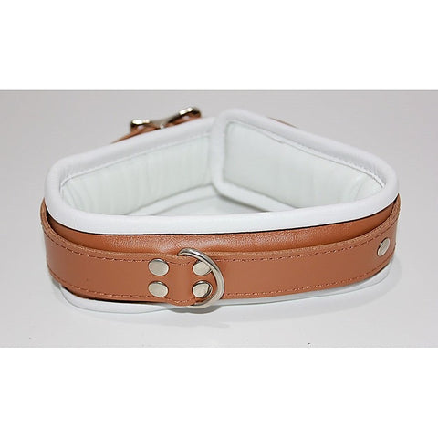 Dungeon Delights Asylum Collar Padded by BDStyle