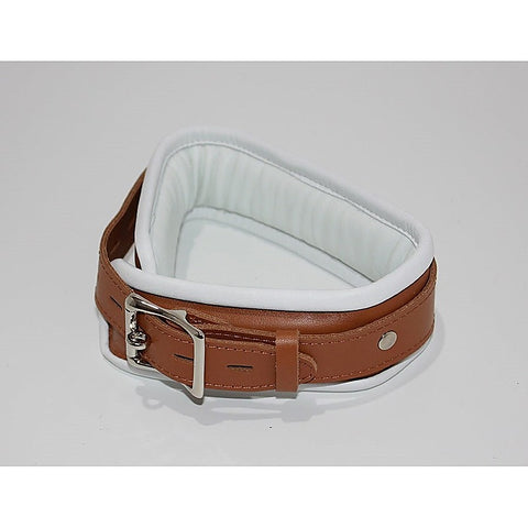 Dungeon Delights Asylum Collar Padded by BDStyle