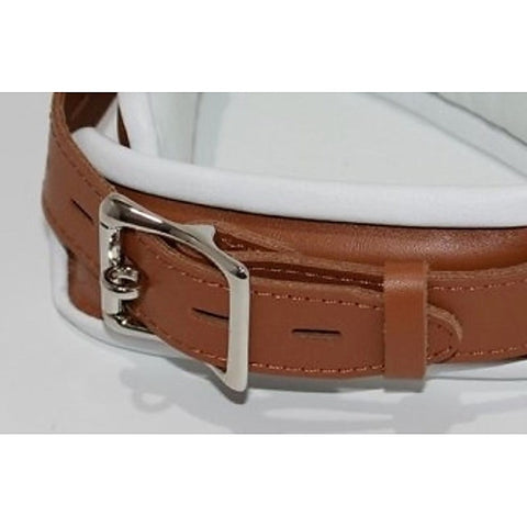 Dungeon Delights Asylum Collar Padded by BDStyle