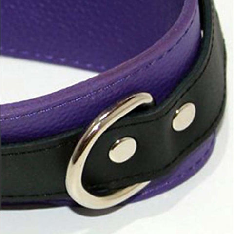 Purple Pleasures BDSM Collar with Studs O-Rings by BDStyle