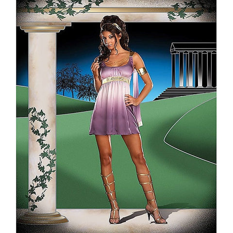 Mythical Muse Costume by Dream Girl Lingerie