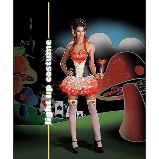 Queen of Heartbreakers Costume by Dream Girl Lingerie