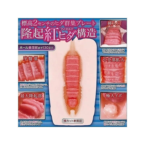 EXE Two-Layered Japanese Male Stimulator by Exe and King