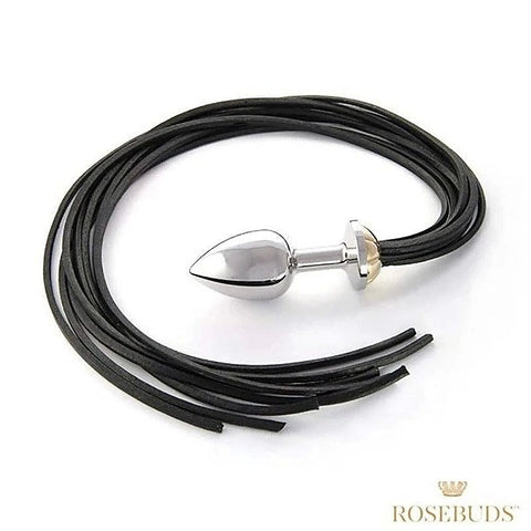 Intimate Fusion - Luxurious Metal Plug and Leather Whip Set