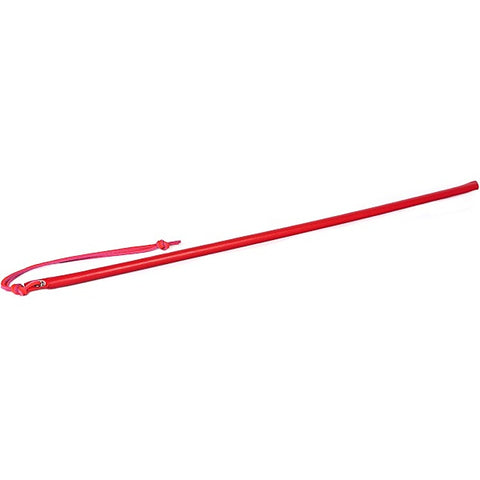 Leather Wrapped Discipline Cane by Spartacus
