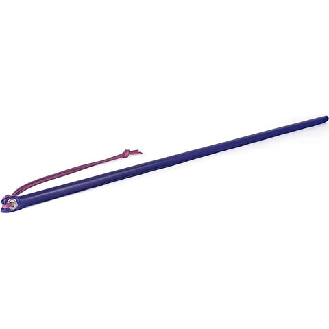Leather Wrapped Discipline Cane by Spartacus