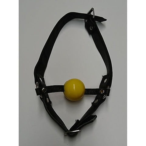 Ball Gag with Face Harness by Hell's Couture