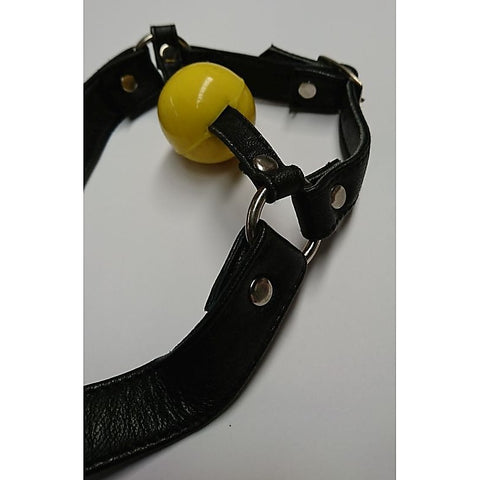 Ball Gag with Face Harness by Hell's Couture