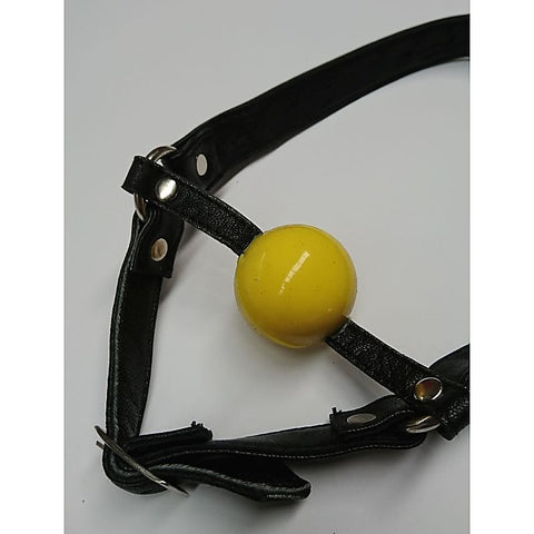 Ball Gag with Face Harness by Hell's Couture