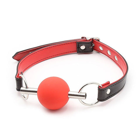 Metal Bar Silicone Ball Gag by BDStyle