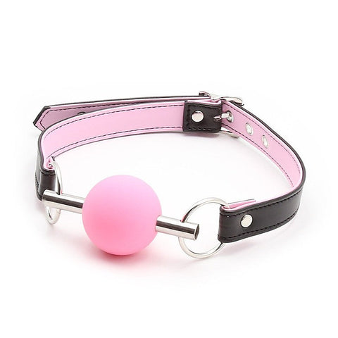 Metal Bar Silicone Ball Gag by BDStyle