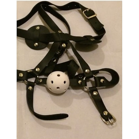 WildSecrets Gag & Blinker Leather by Hell's Couture