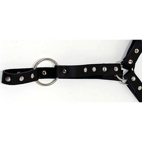 Leather Waist Harness by Hell's Couture