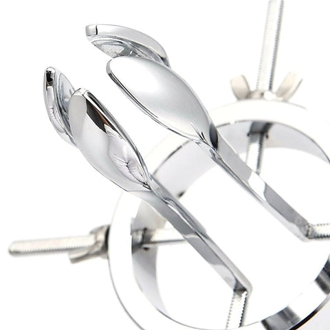Stainless Steel Anal Expander by BDStyle