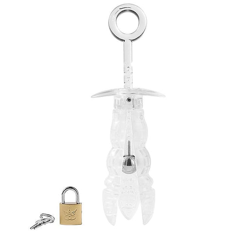 Clear Resin Anal Lock by BDStyle