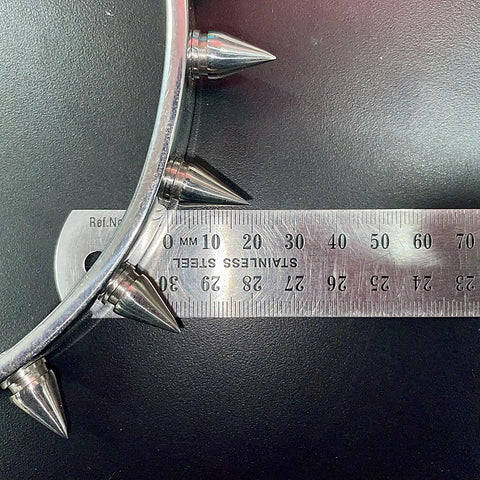 Spiked Metal BDSM Collar by Hell's Couture