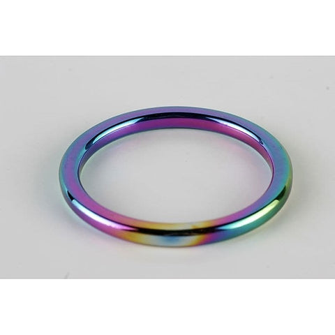 Heavy Duty Rainbow Metal Cock Ring by Hell's Couture