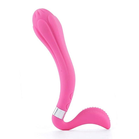 Reversible Dual-Stimulation Rechargeable Toy