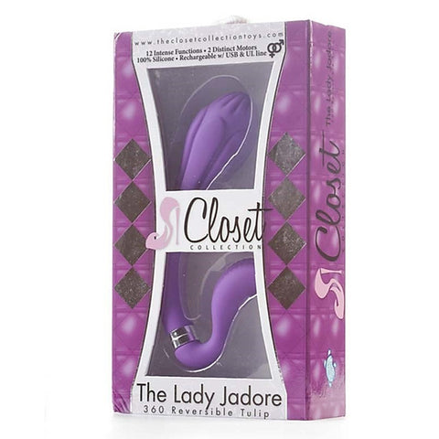 Reversible Dual-Stimulation Rechargeable Toy