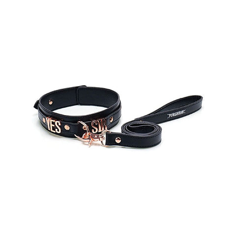 Punishment Rose Gold Yes Sir Collar and Leash by BMS Factory