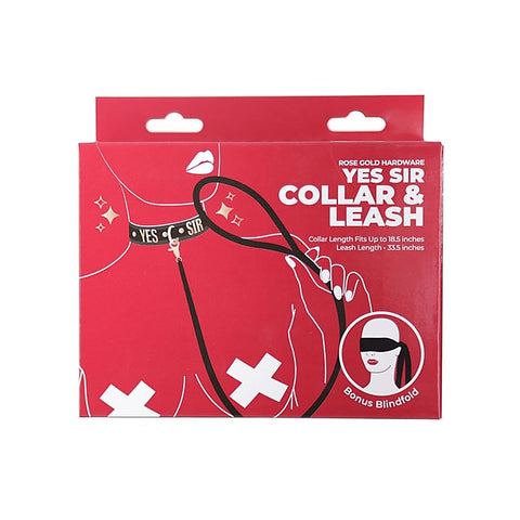 Punishment Rose Gold Yes Sir Collar and Leash by BMS Factory