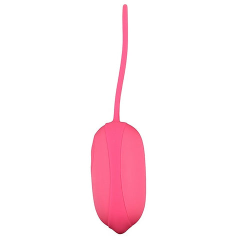 Eden Remote Control Egg Vibrator by Baile
