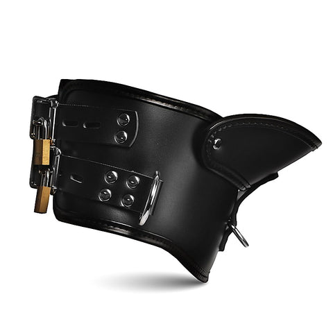Master Series Rigid Locking Posture Collar by XR Brands