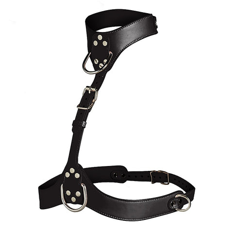 Master Series Vixen Female Chest Harness by XR Brands