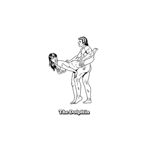 Sexiest Sex Positions Colouring Book by Wood Rocket
