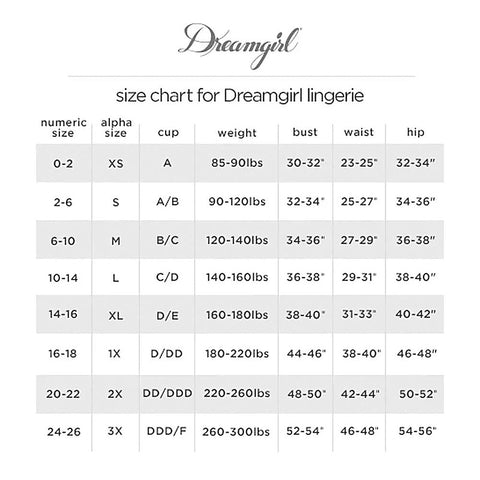 Stretch Mesh Closed Crotch Sexy Panty by Dream Girl Lingerie