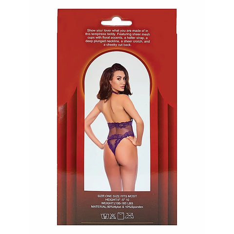 Temptress Sheer Lace and Mesh Teddy by Popsi Lingerie