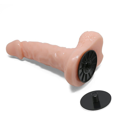 Strap On Realistic Cock and Dildo With Harness by Baile