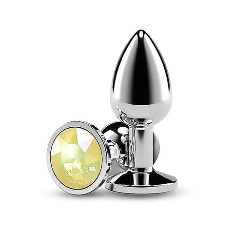 Rear Assets Silver Coloured Gem Butt Plug Small