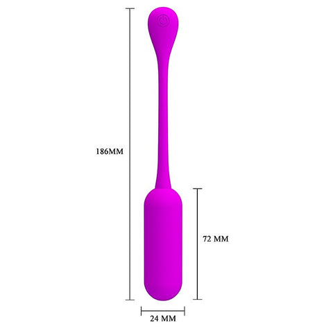 USB Rechargeable Remote Control Egg Vibrator by Baile